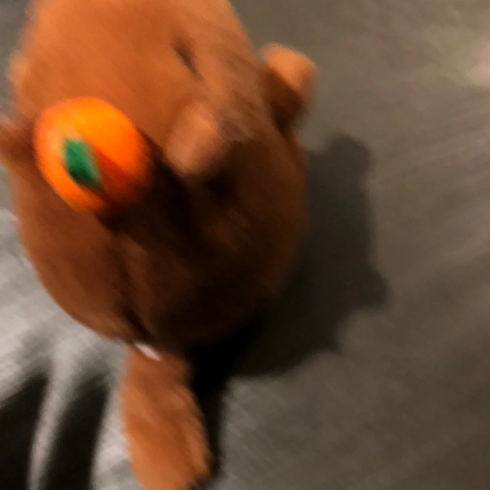 Brown Plush Capybara Toy